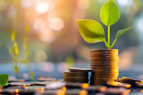 © Poorna Himasha - stock.adobe.com Foto: Pflanze wächst aus Münzstapel